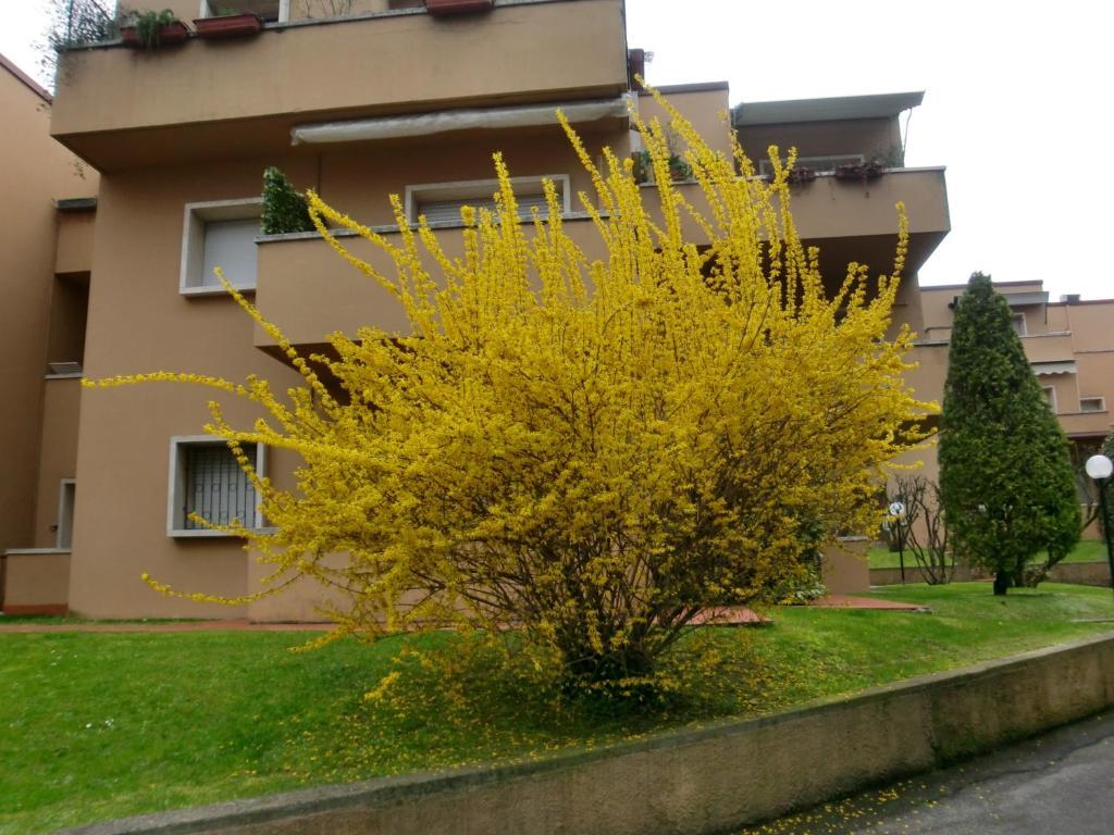 Residence La Madonnina Peschiera del Garda Zewnętrze zdjęcie