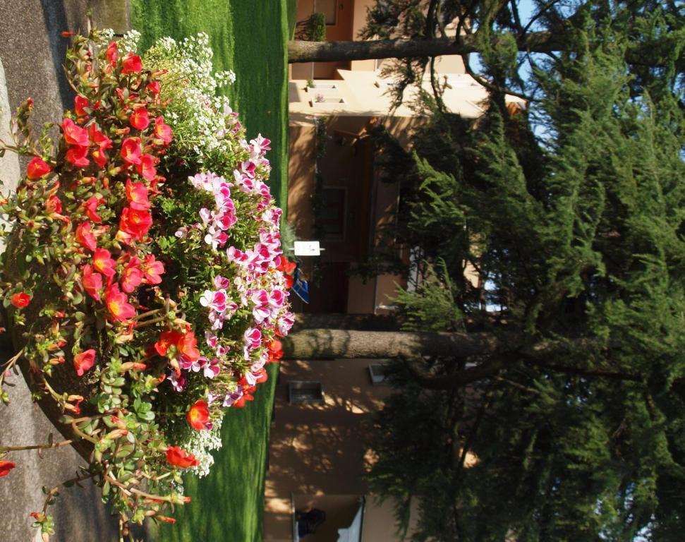 Residence La Madonnina Peschiera del Garda Zewnętrze zdjęcie